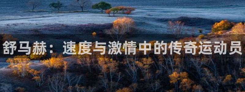 米兰体育官方正版app代理