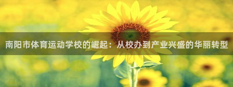 米兰体育官方正版app集团简介