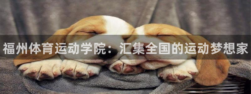 米兰体育官方正版app集团简介