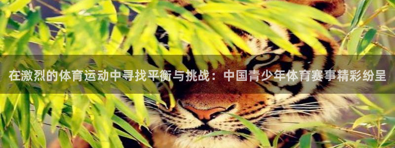 米兰体育官网下载平台注册流程视频：在激烈的体育运动中