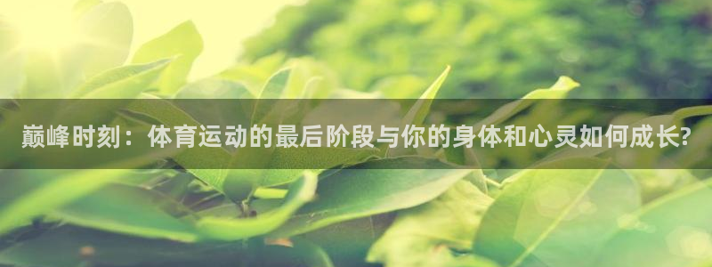 米兰体育官方正版app集团E.ON