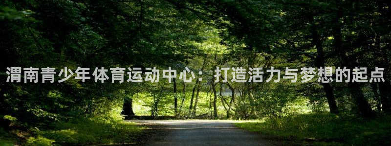 米兰体育官方正版app新能源