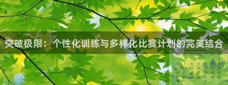 米兰体育官方正版app娱乐首页网站大全：突破极限：个性化训练