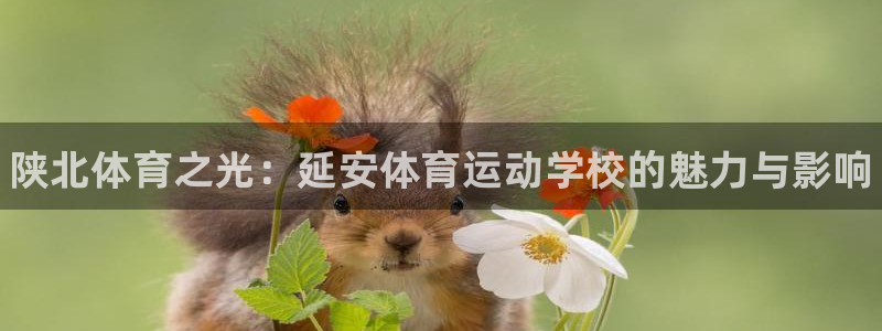米兰体育官网下载是干嘛的公司：陕北体育之光：延安体育运动学校