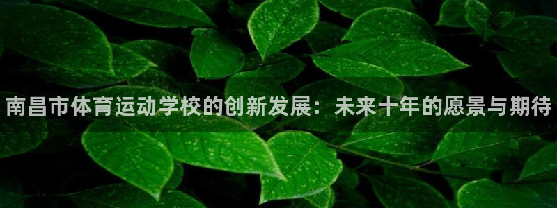 米兰体育官网下载平台假的吗是真的吗：南昌市体育运动学校的创新