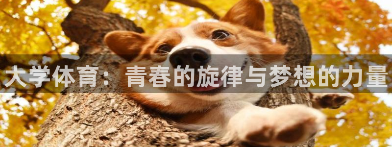米兰体育官方平台体育：大学体育：青春的旋律与梦想的力量
