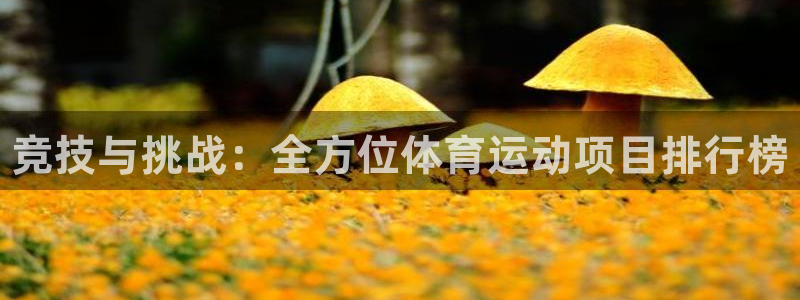 米兰体育官方正版app集团E.ON