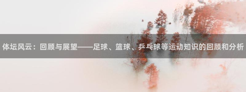 米兰体育官网下载是干嘛的公司：体坛风云：回顾与展望—