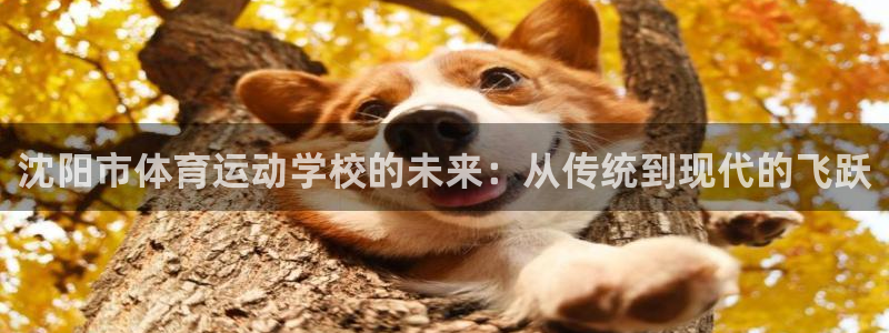 米兰体育官方正版app神州：沈阳市体育运动学校的未来：从传统