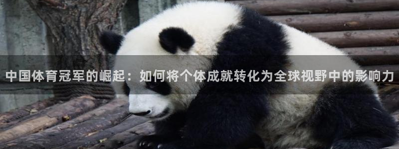 米兰体育官方正版app代理：中国体育冠军的崛起：如何将个体成