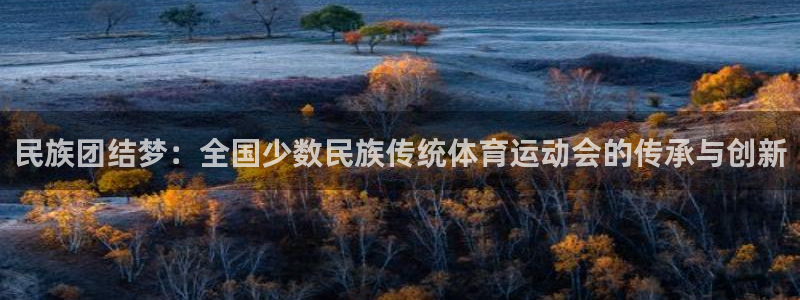 米兰体育官方正版app集团logo：民族团结梦：全国少数民族