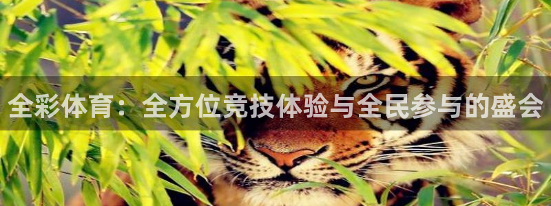 米兰体育官网下载是干嘛的公司：全彩体育：全方位竞技体验与全民