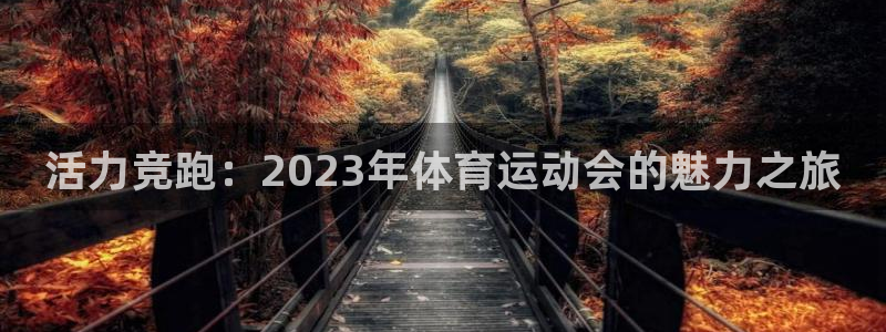 海南米兰体育官网下载发展怎么样：活力竞跑：2023年体育运动