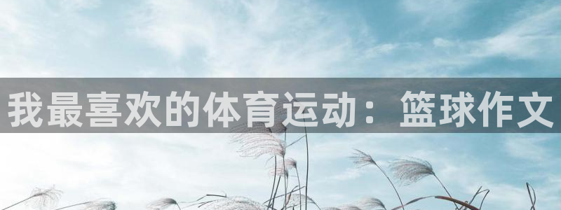 米兰体育官网下载平台假的吗是真的吗：我最喜欢的体育运动：篮球