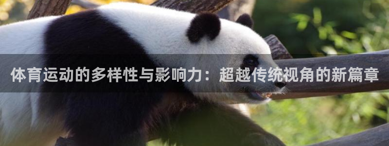 米兰体育官网下载平台注册：体育运动的多样性与影响力：超越传统