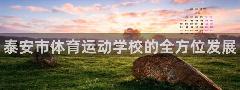 米兰体育官网下载招商电话：泰安市体育运动学校的全方位