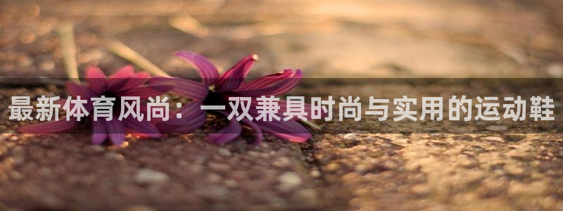 米兰体育官网下载平台注册要钱吗：最新体育风尚：一双兼